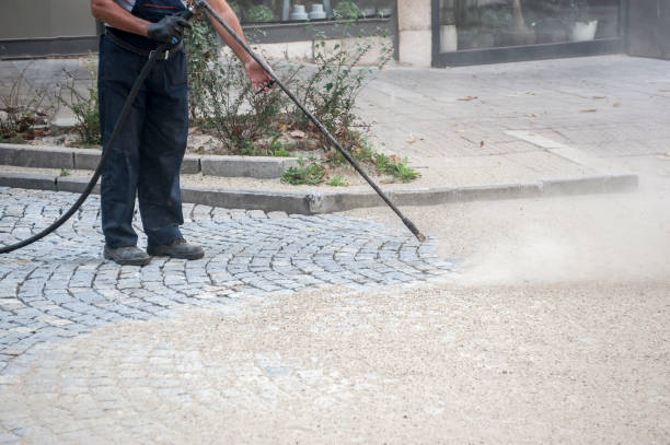 Best Concrete Sealing  in Lexington, MN