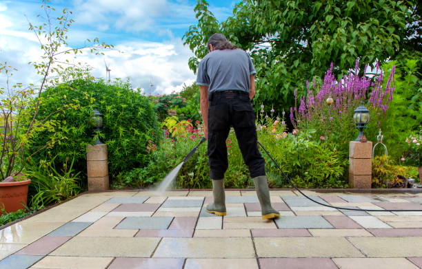 Best Restaurant Pressure Washing  in Lexington, MN