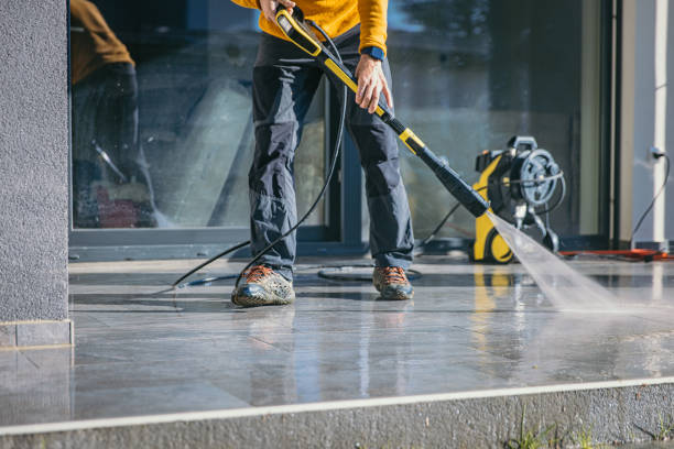 Best Driveway Pressure Washing  in Lexington, MN