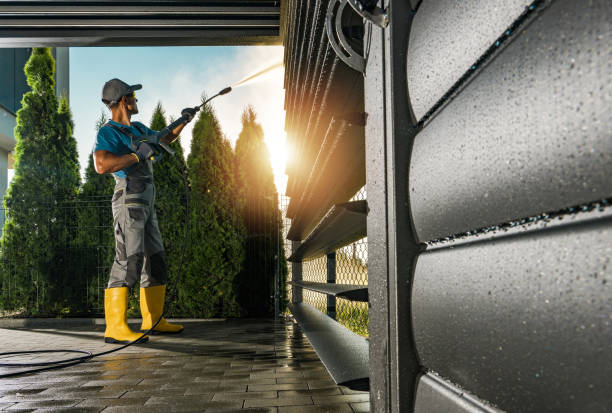 Best House Exterior Washing  in Lexington, MN