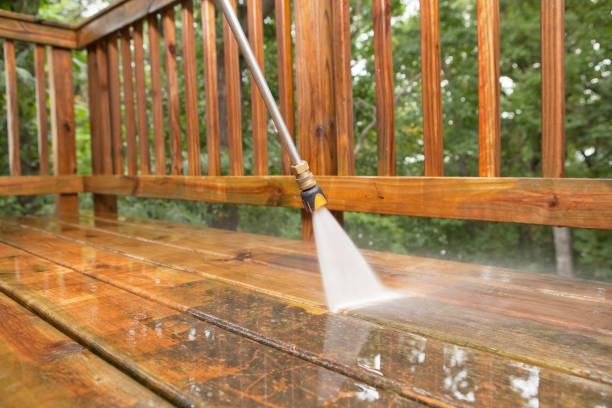 Animal Enclosure Cleaning in Lexington, MN